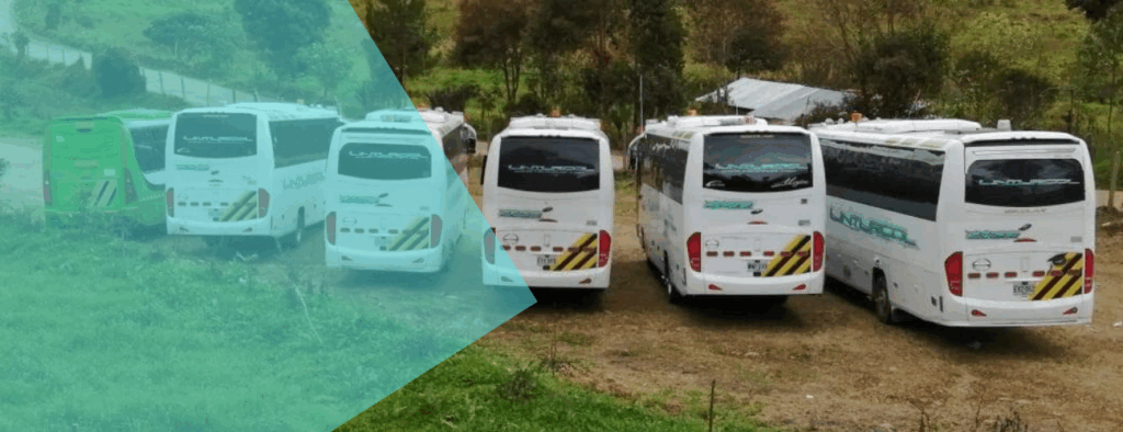 servicio-de-transporte-escolar-educativo-en-bogota-y-colombia-5