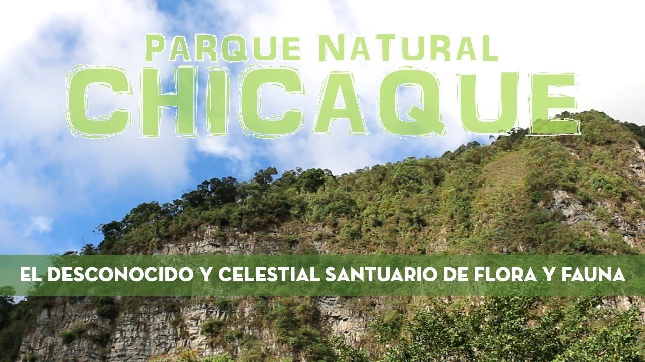 descubre-fusagasuga-colombia-como-conocer-colombia-en-bus-3